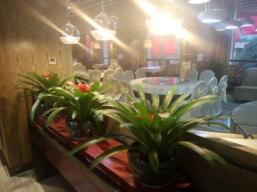 Chengdu Hello Hotel CTU Zewnętrze zdjęcie